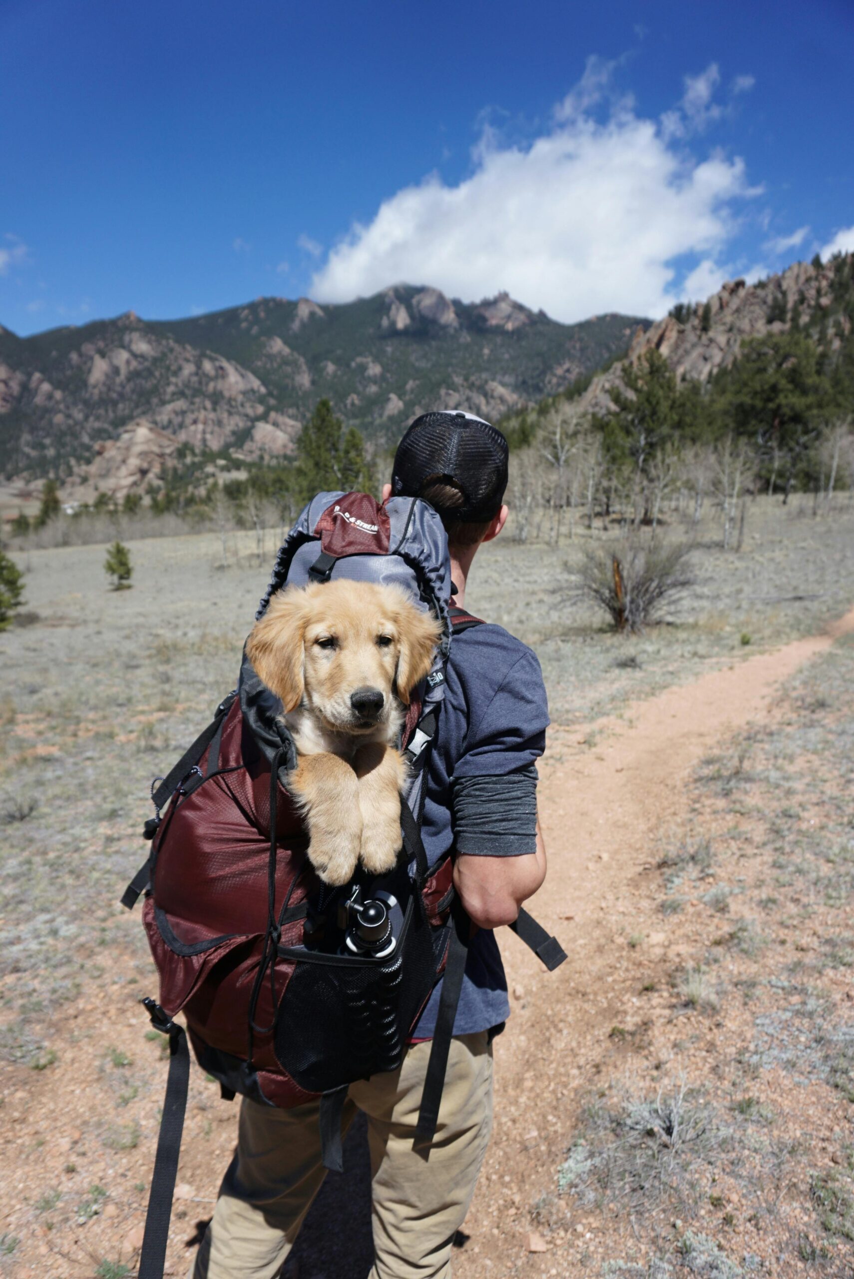 Trekking 16